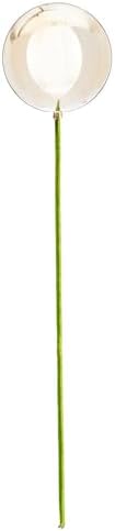 Vickerman Champagne Shiny Ball Ornament Stick 4 x 18 6Bag