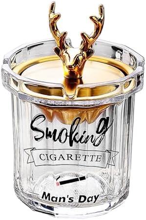 DAERTU Glass Ashtray with Lid for Cigarettes