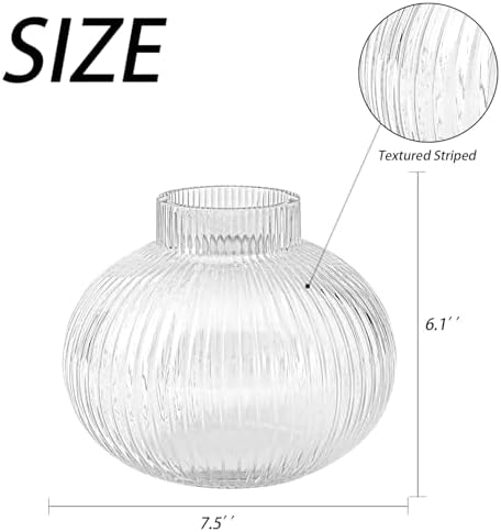 YANWE1 Round Ribbed Glass Vase 6 Inches