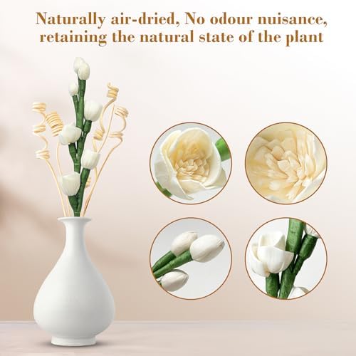 Reed Diffuser Sticks Set with Natural Flowers