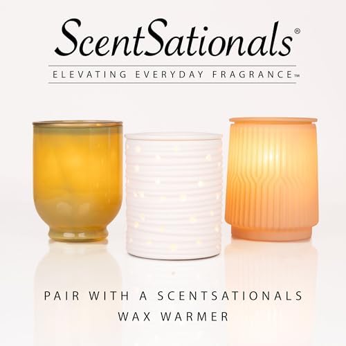 Scentsationals Wax Melts - Molten Orange 24 Cubes