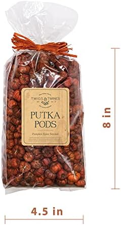 Putka Pods Pumpkin Spice Scented Orange Mini Pumpkins 10 Cups