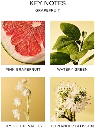 NEST New York Grapefruit Reed Diffuser - 59 Fl Oz - 90 Day Fragrance
