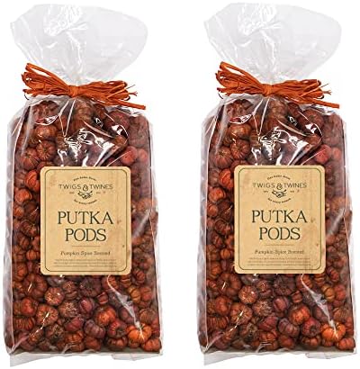 Putka Pods Pumpkin Spice Scented Orange Mini Pumpkins 10 Cups