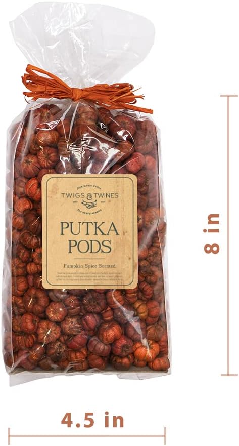 Putka Pods Pumpkin Spice Scented Orange Mini Pumpkins 10 Cups