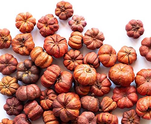 Putka Pods Pumpkin Spice Scented Orange Mini Pumpkins 10 Cups