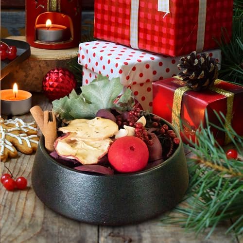 Qingbei Rina Christmas Potpourri Bags 20oz Apple Scented