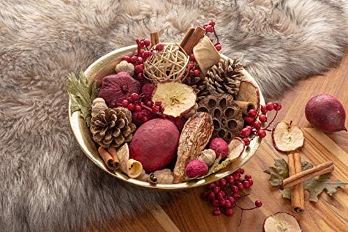 ANDALUCA Apple Cider Cinnamon Potpourri 20 oz