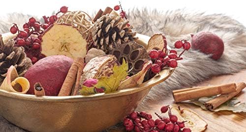 ANDALUCA Apple Cider Cinnamon Potpourri 20 oz