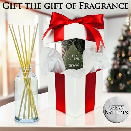 Urban Naturals Ocean Mist Sea Salt Reed Diffuser Set