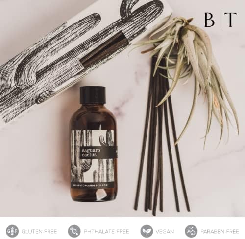 Broken Top Natural Reed Diffuser Set Saguaro Cactus