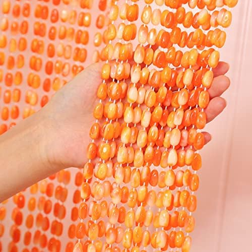 ZHANGQINGXIU Beaded Curtain for Doorways and Room Dividers