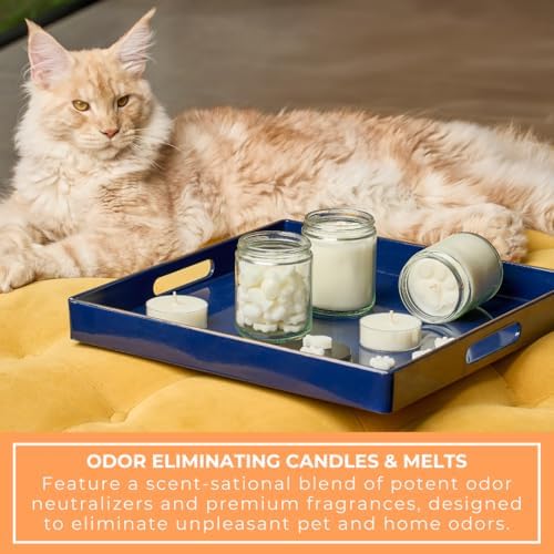 Citrus Pet Odor Eliminator Wax Melts for Home