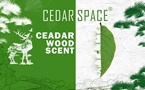 Cedar Space Lavender Sachet Bags 24 Pack Home Fragrance