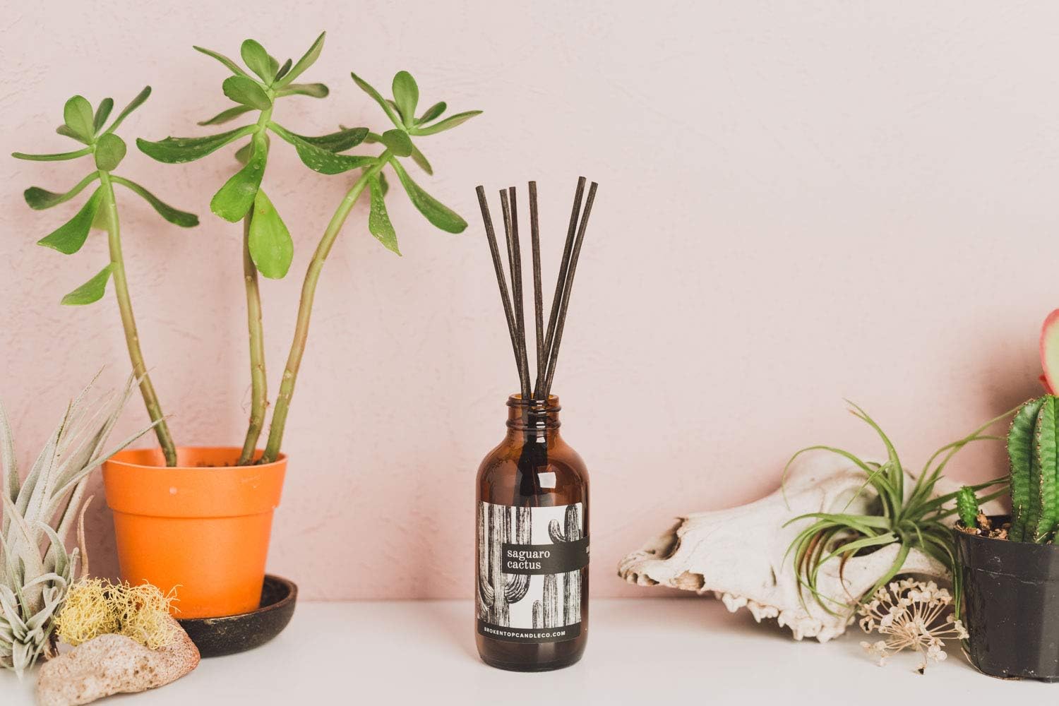 Broken Top Natural Reed Diffuser Set Saguaro Cactus
