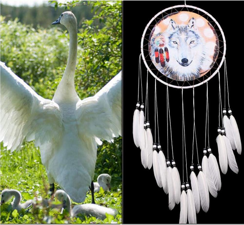 Wolf Dream Catcher Handmade White Feather Decor