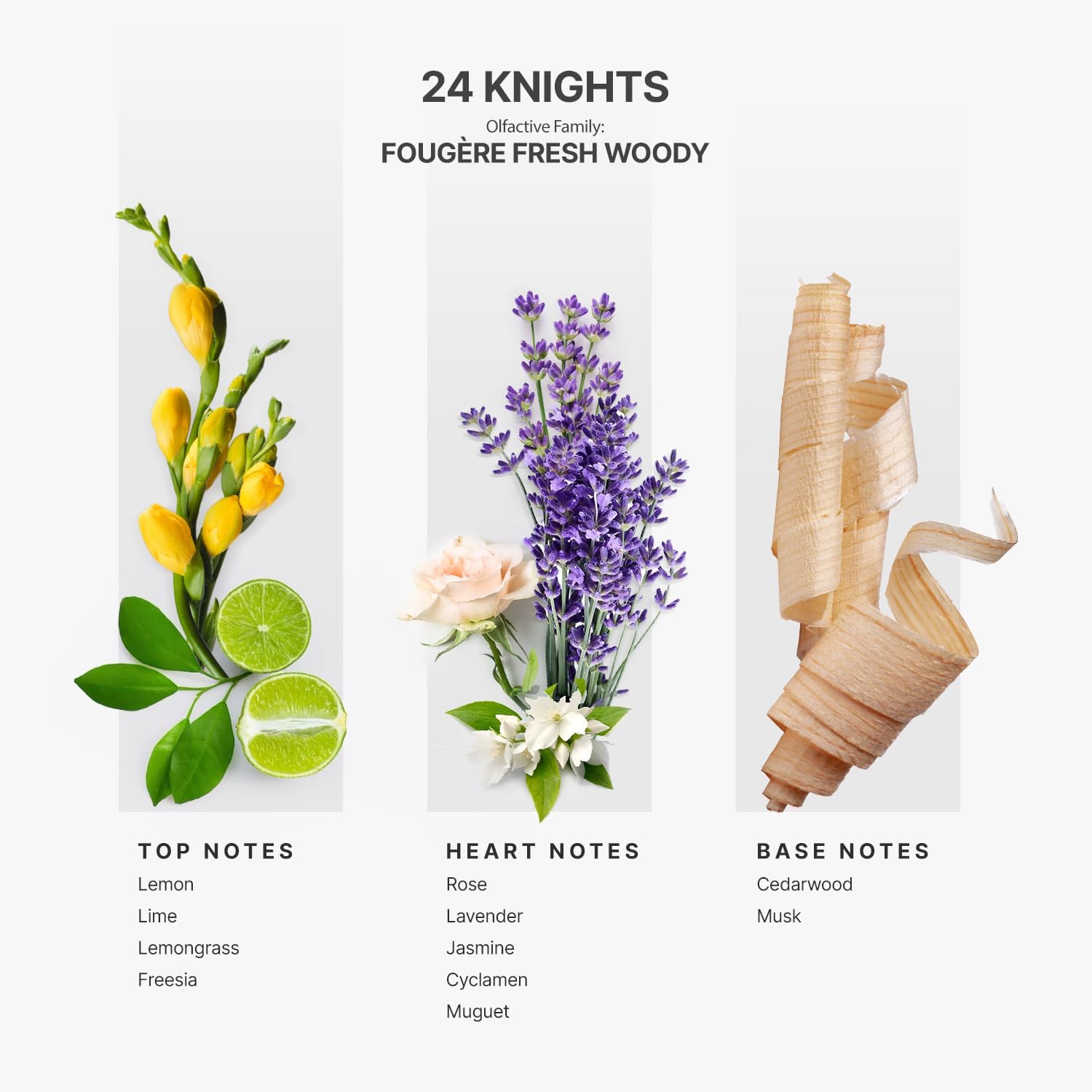 Aromaplan Hotel Scents 24 Knights 5 Fl Oz Luxury Diffuser Oil