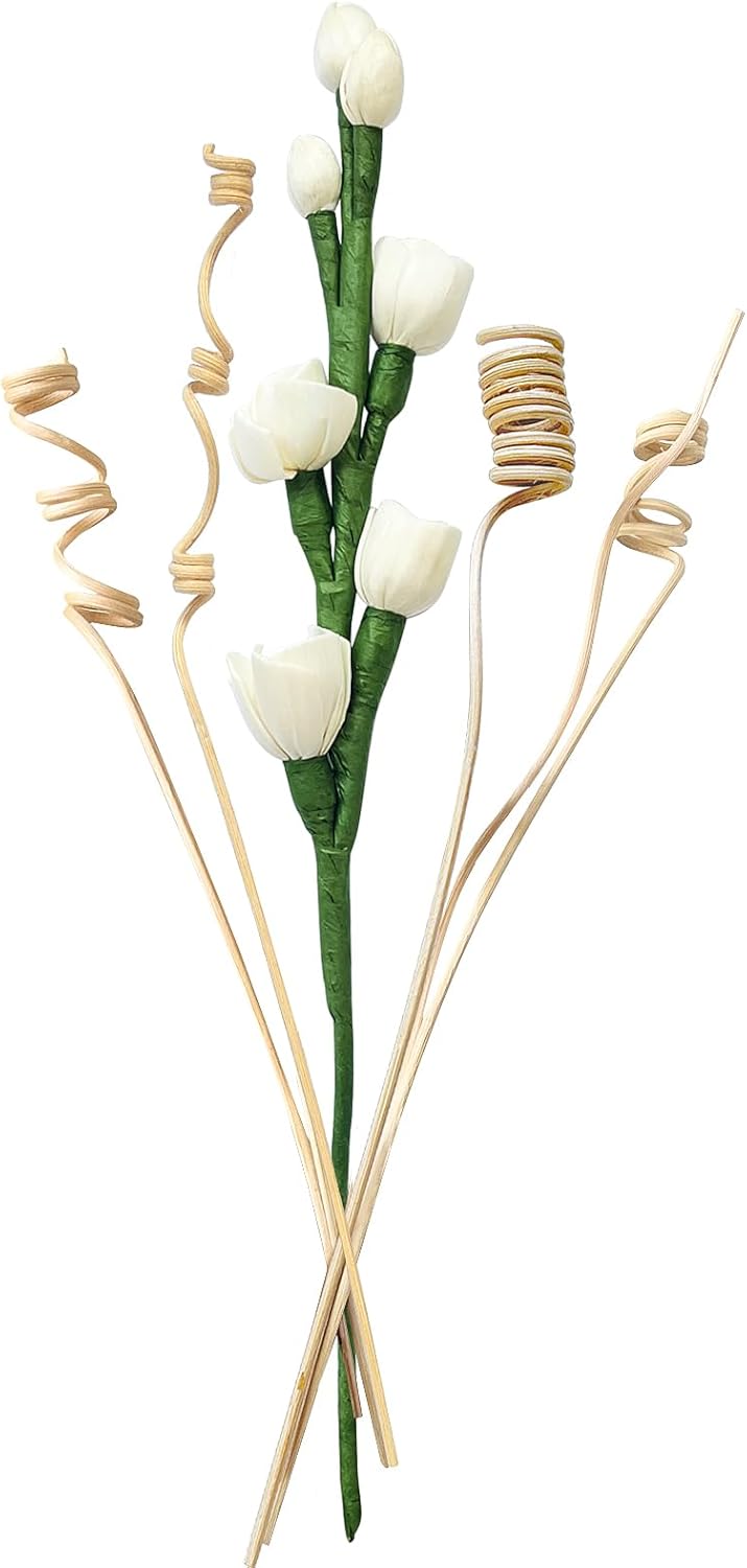 Reed Diffuser Sticks Set with Natural Flowers