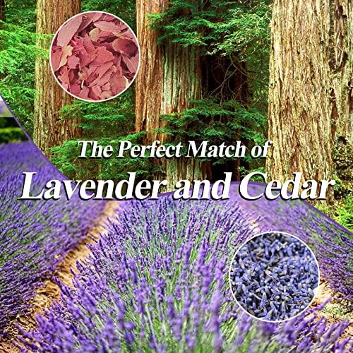 Cedar Space Lavender Sachet Bags 24 Pack Home Fragrance