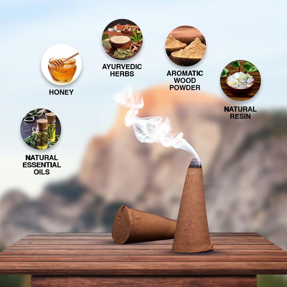 ARO VATIKA Vedic Sandalwood Incense Cones 120 Pack