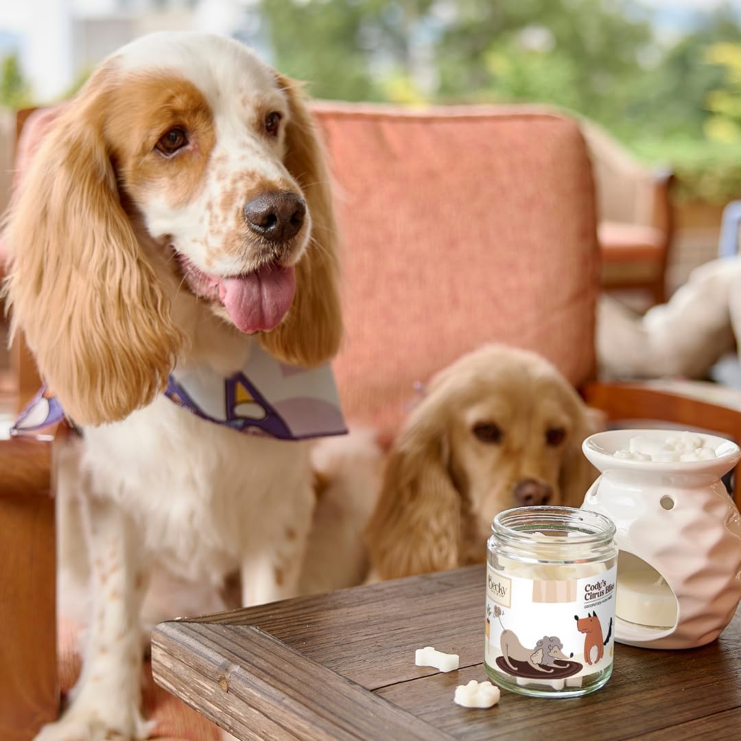 Citrus Pet Odor Eliminator Wax Melts for Home