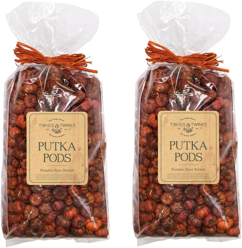 Putka Pods Pumpkin Spice Scented Orange Mini Pumpkins 10 Cups