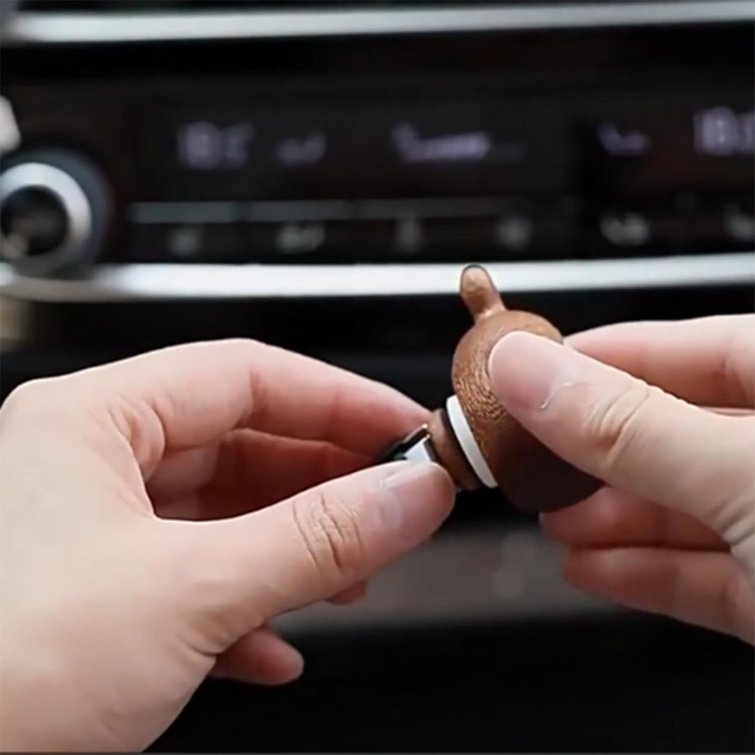 Wood Car Aromatherapy Diffuser - Totoro Design