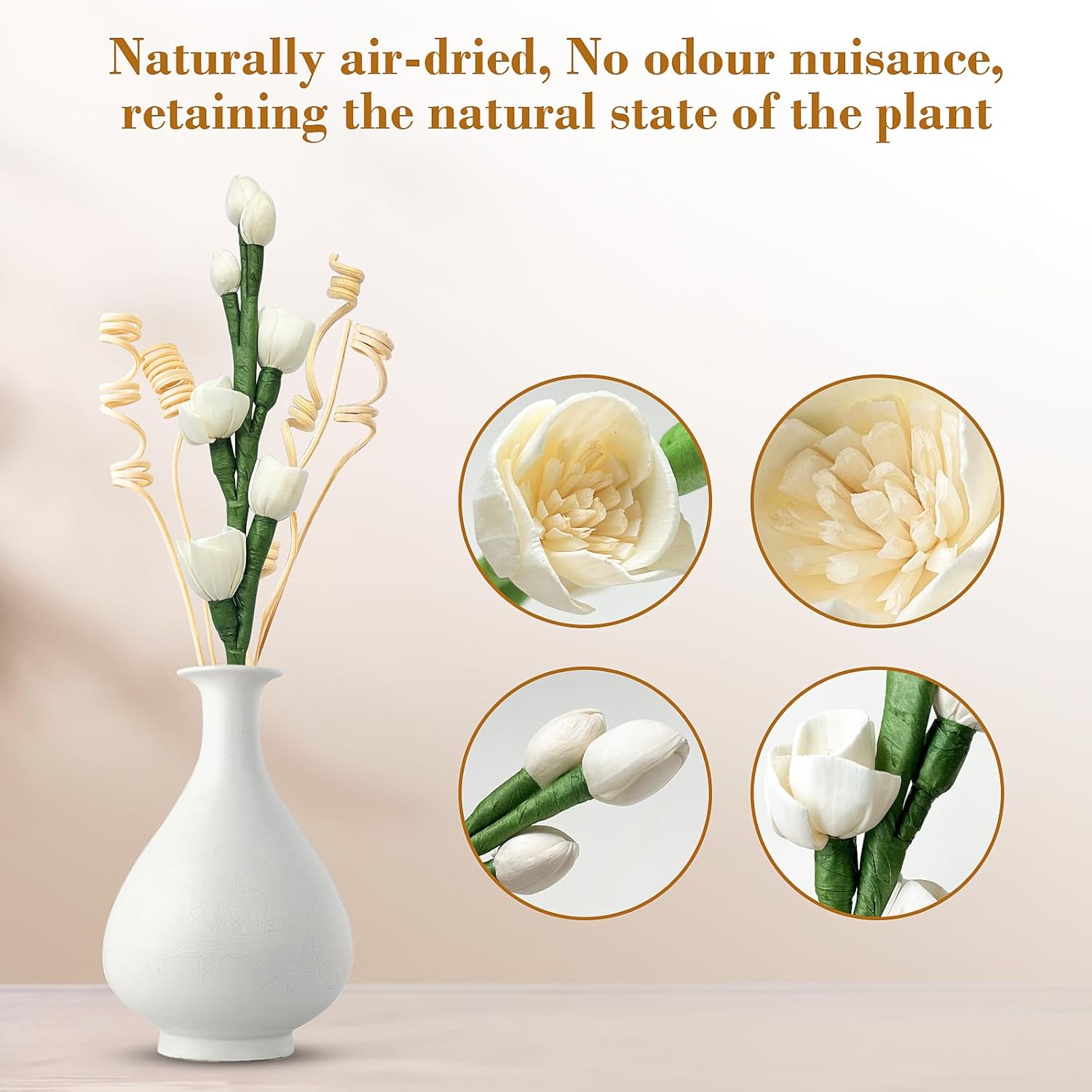 Reed Diffuser Sticks Set with Natural Flowers