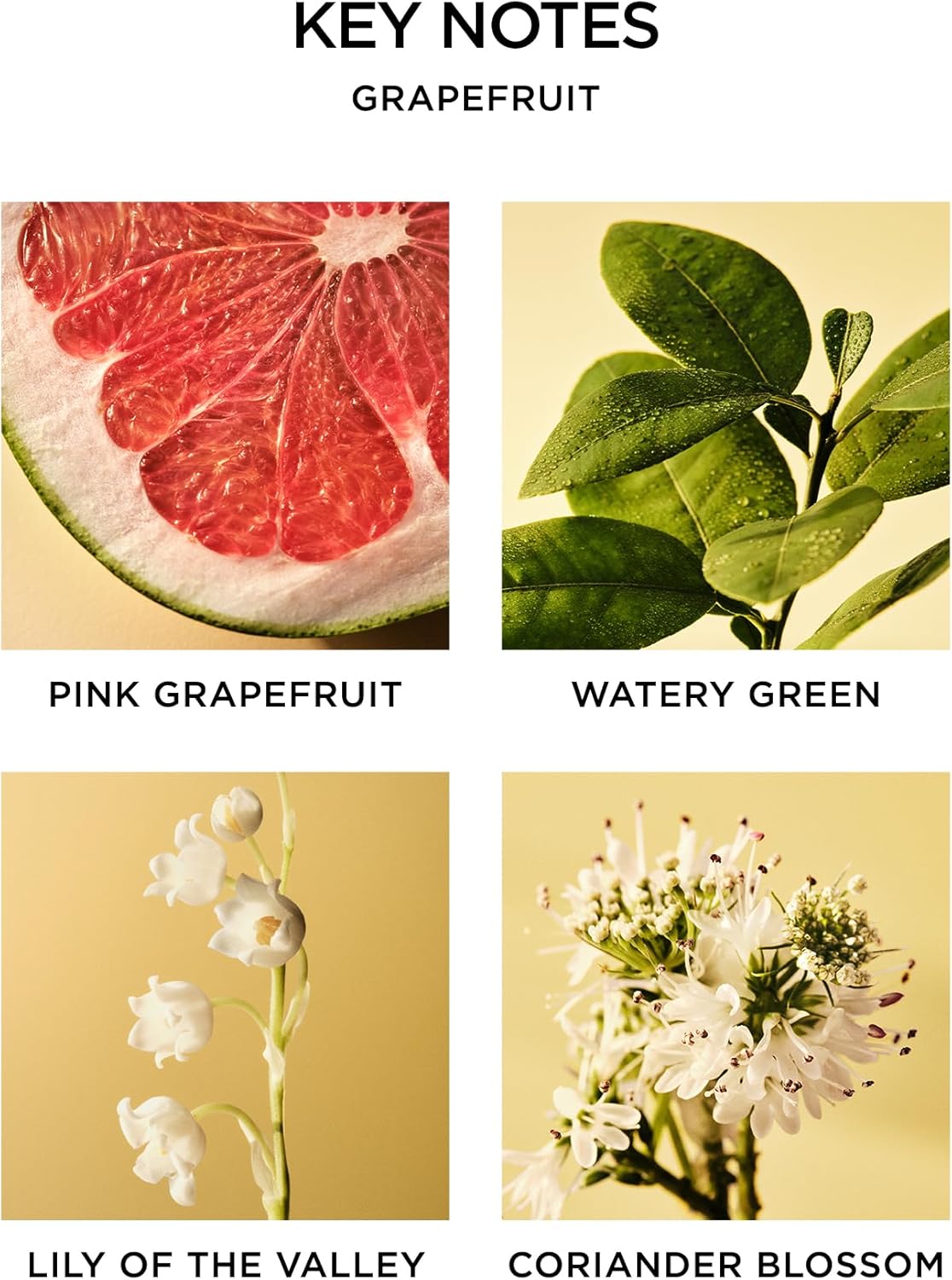 NEST New York Grapefruit Reed Diffuser - 59 Fl Oz - 90 Day Fragrance