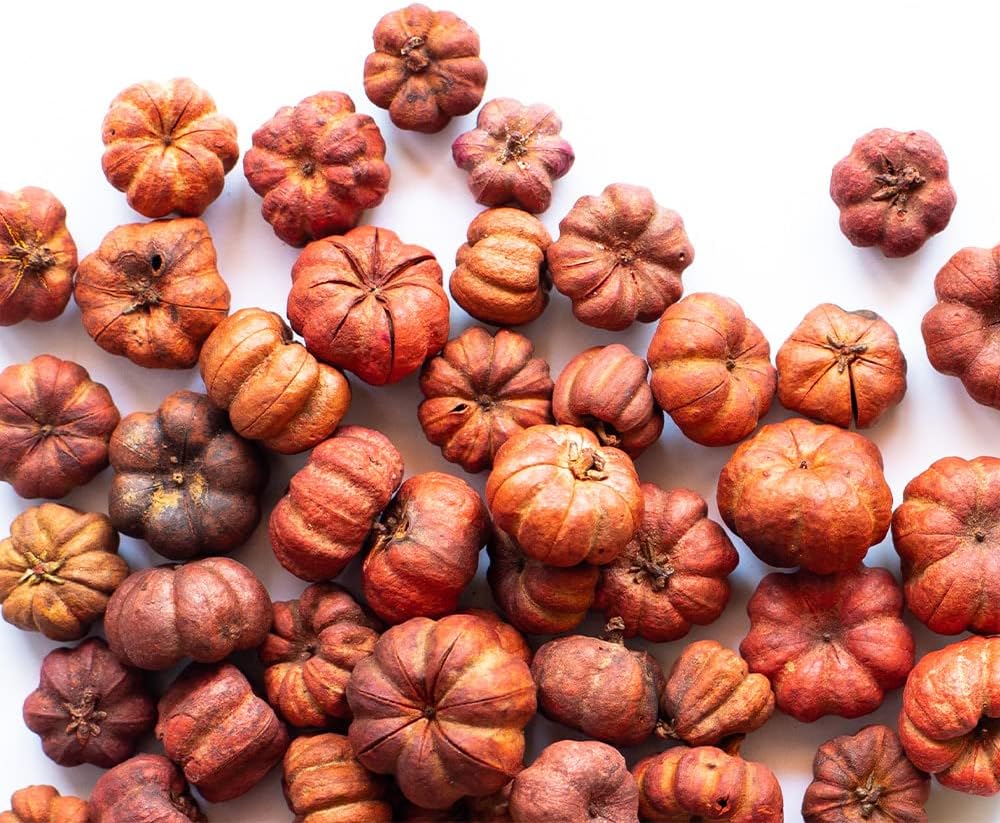 Putka Pods Pumpkin Spice Scented Orange Mini Pumpkins 10 Cups