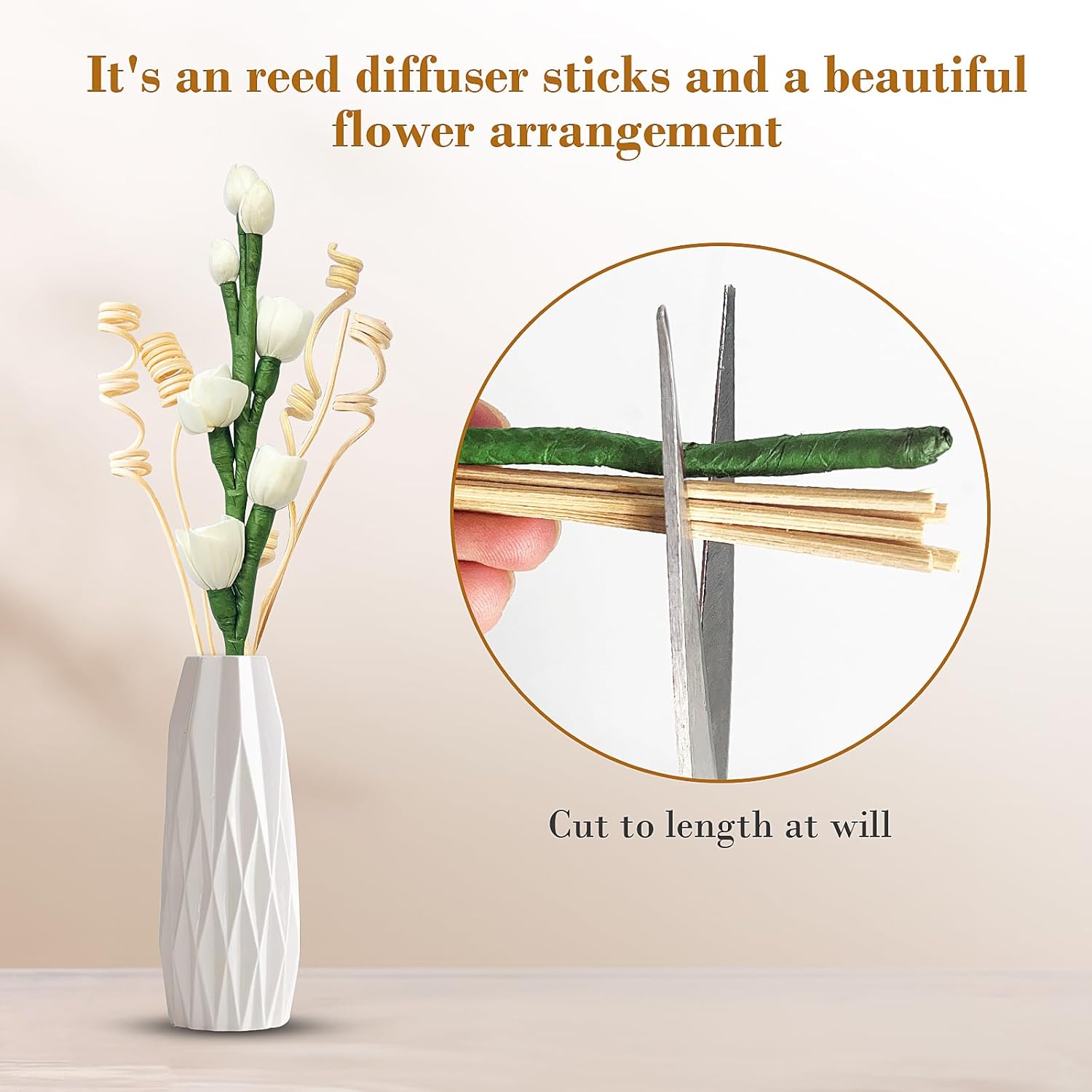 Reed Diffuser Sticks Set with Natural Flowers