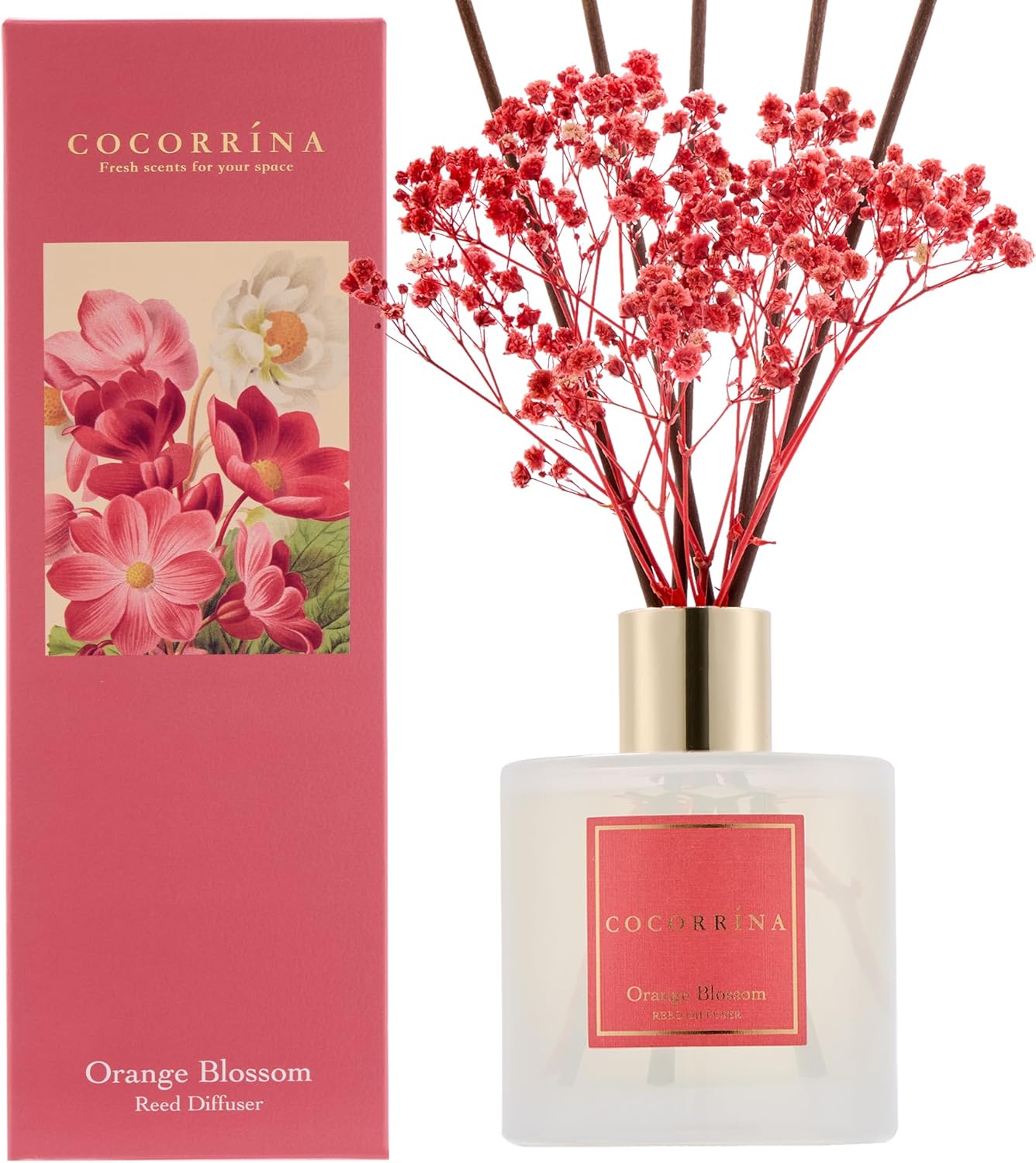 COCORRINA Orange Blossom Reed Diffuser Set 676 Floz