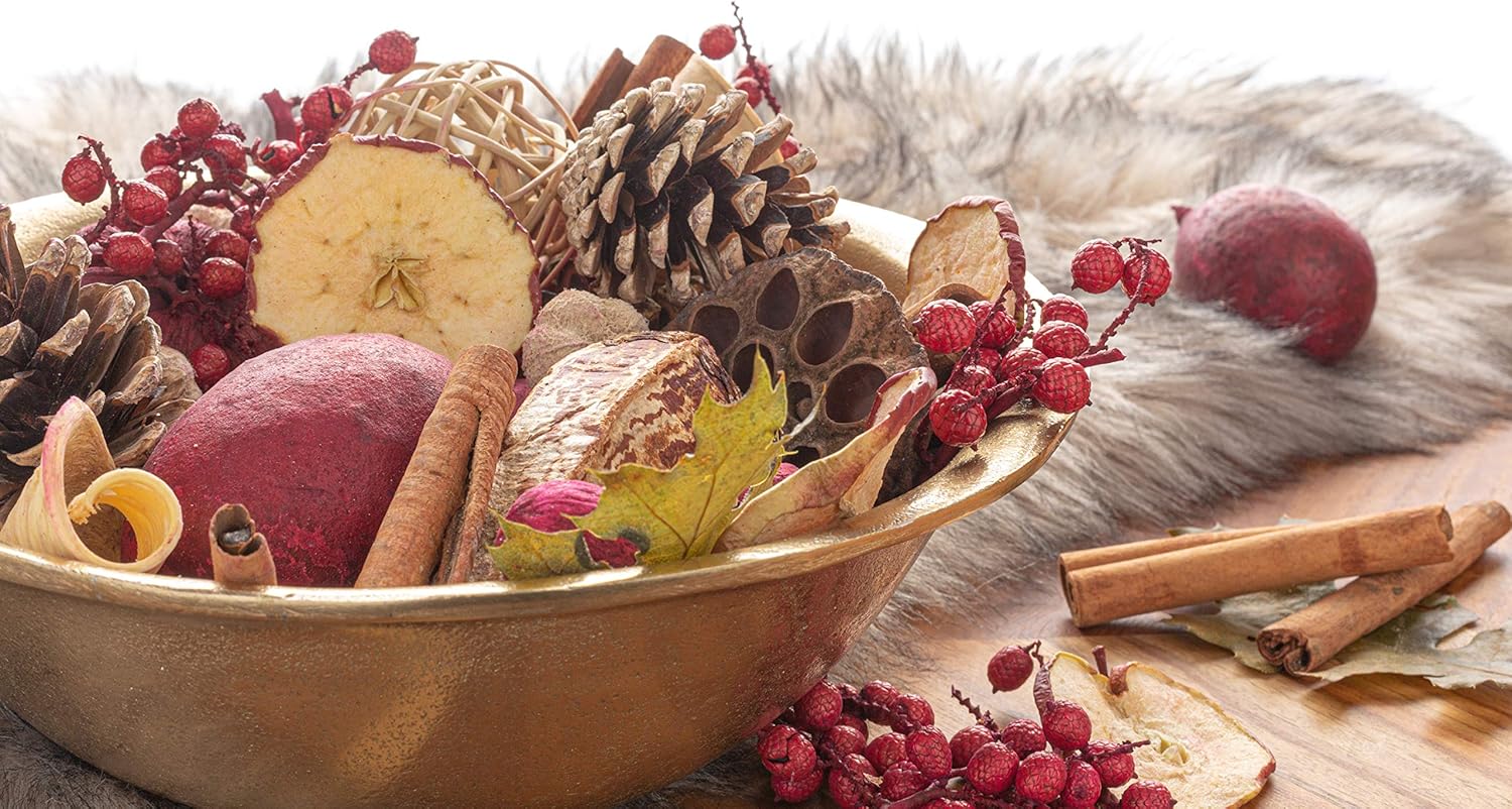 ANDALUCA Apple Cider Cinnamon Potpourri 20 oz