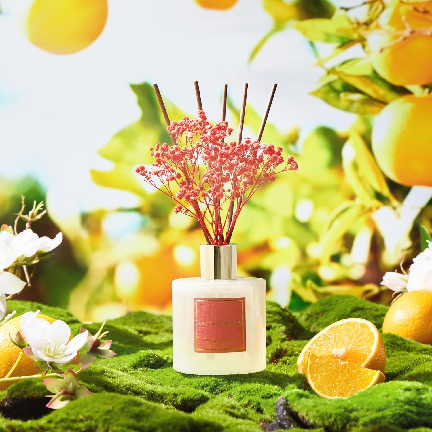 COCORRINA Orange Blossom Reed Diffuser Set 676 Floz