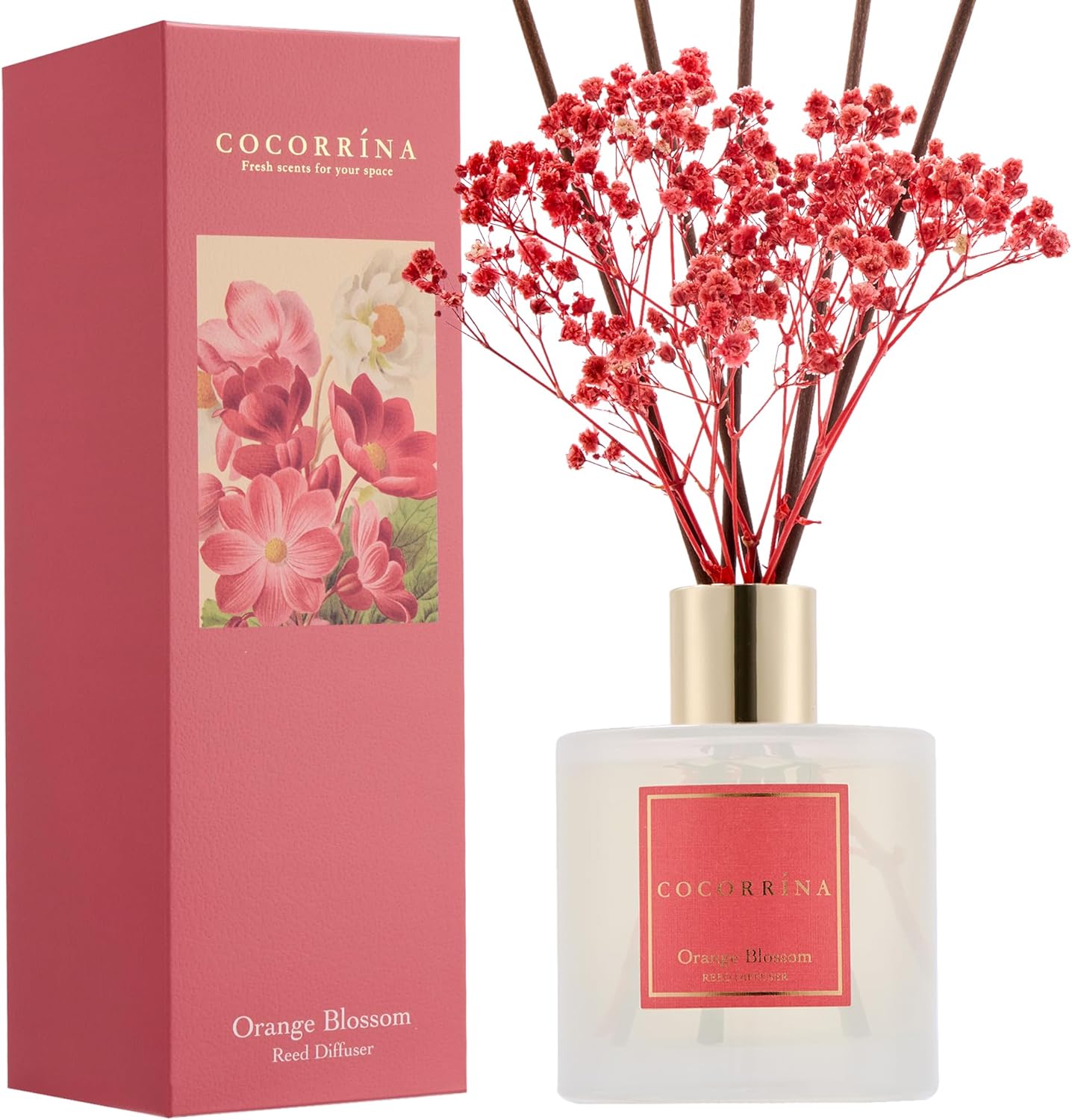 COCORRINA Orange Blossom Reed Diffuser Set 676 Floz
